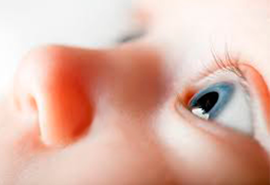 retinopatia prematuro